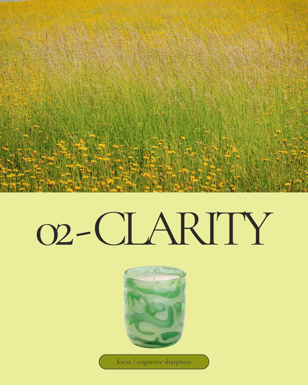02 - Clarity